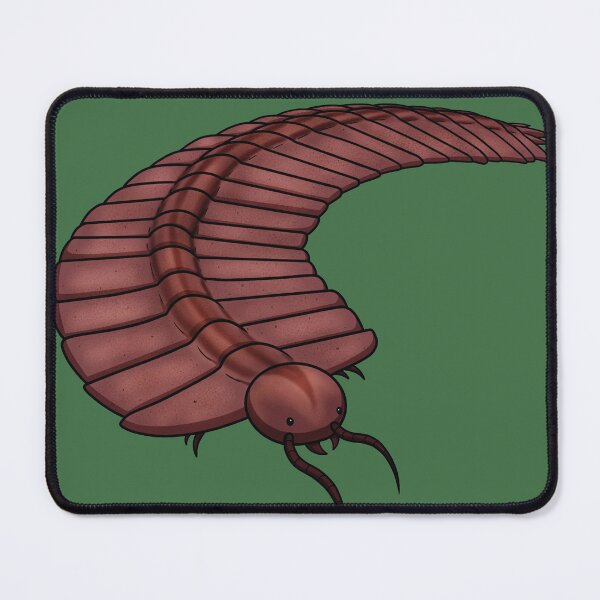 Item preview, Arthropleura designed and sold by GravyDinos.