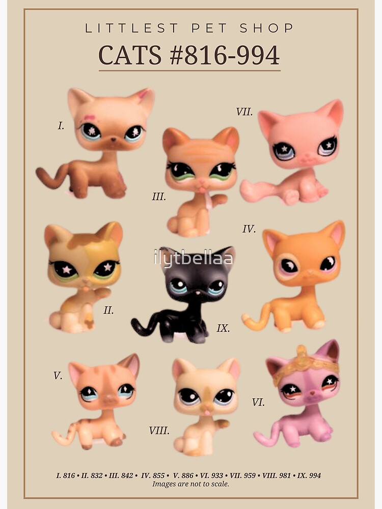 Lps Cat Drawings LPS Kitten Paint Kit With 10x10 Canvas Template