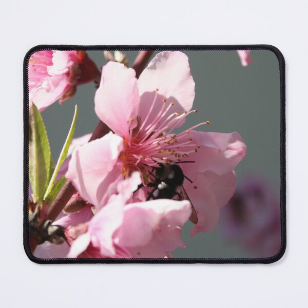 Item preview, Carpenter Bee On Peach Tree Blossom designed and sold by taiche.