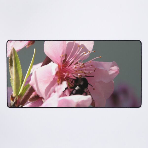 Item preview, Carpenter Bee On Peach Tree Blossom designed and sold by taiche.