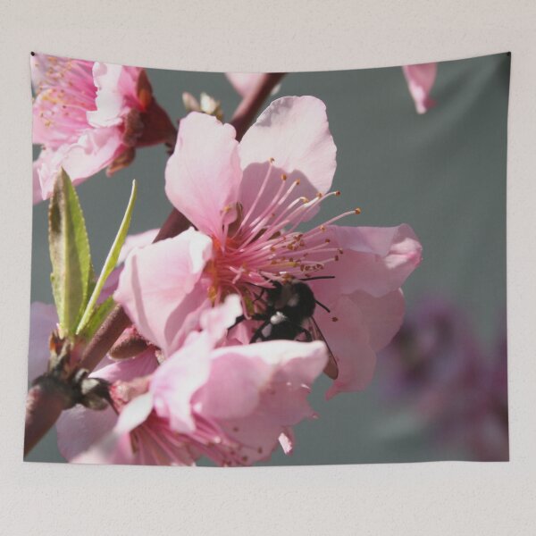 Item preview, Carpenter Bee On Peach Tree Blossom designed and sold by taiche.