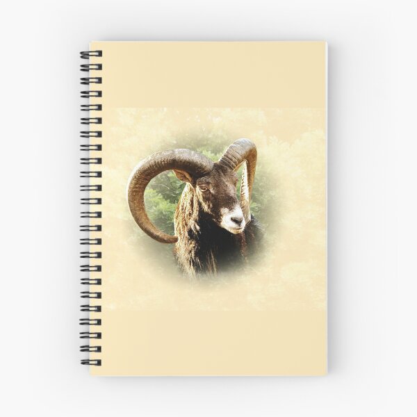 Item preview, Mouflon designed and sold by Guardi71.