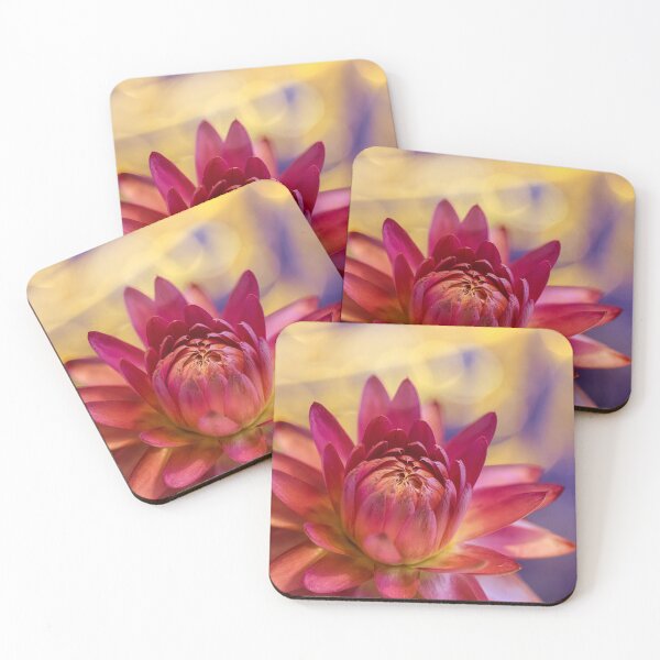 Item preview, Strawflower 4 designed and sold by Veikko  Suikkanen.