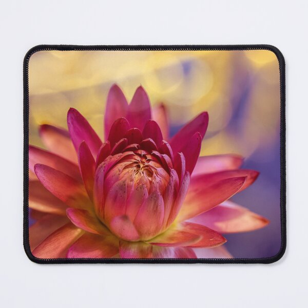 Item preview, Strawflower 4 designed and sold by Veikko  Suikkanen.
