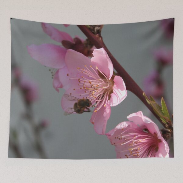 Item preview, Honey Bee Feeding on Peach Tree Blossom designed and sold by taiche.