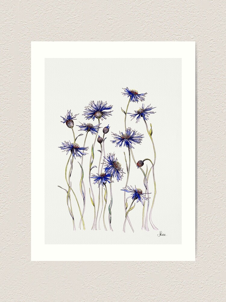 Alternate view of Blue Cornflowers Art Print