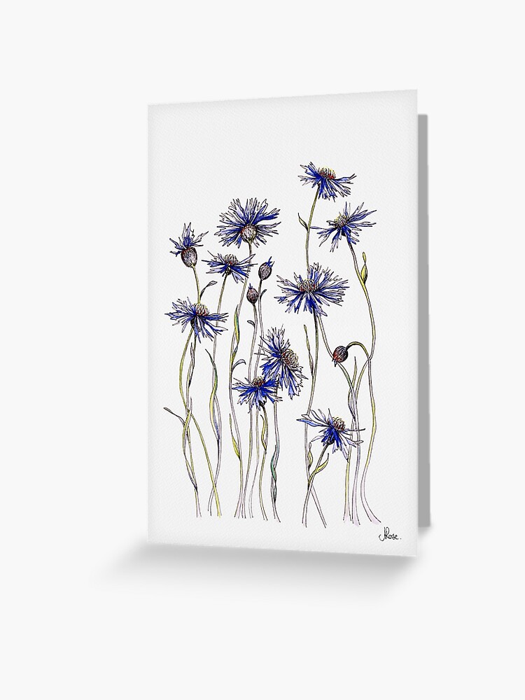 Thumbnail 1 of 2, Greeting Card, Blue Cornflowers designed and sold by JRoseDesign.