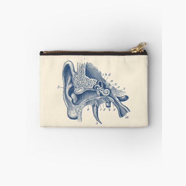 Item preview, Human Inner Ear Anatomy Diagram designed and sold by VAposters.