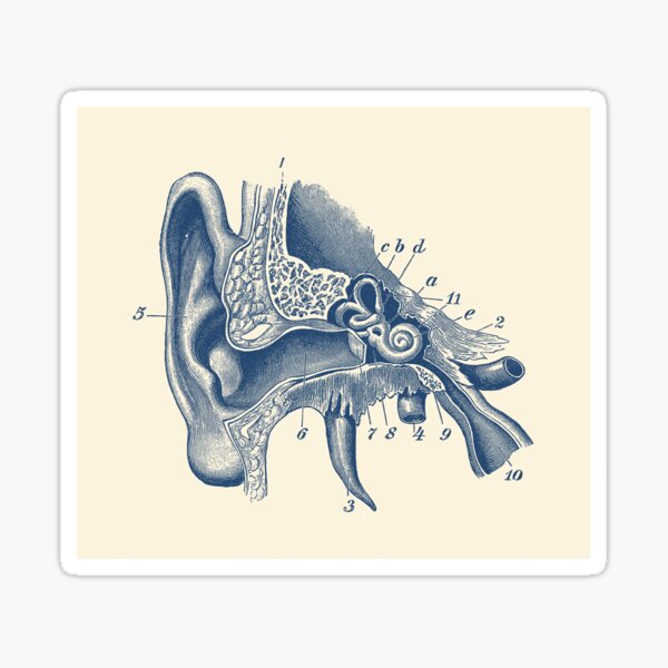 Vintage Ear Medicine Illustration Sticker