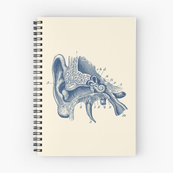Item preview, Human Inner Ear Anatomy Diagram designed and sold by VAposters.
