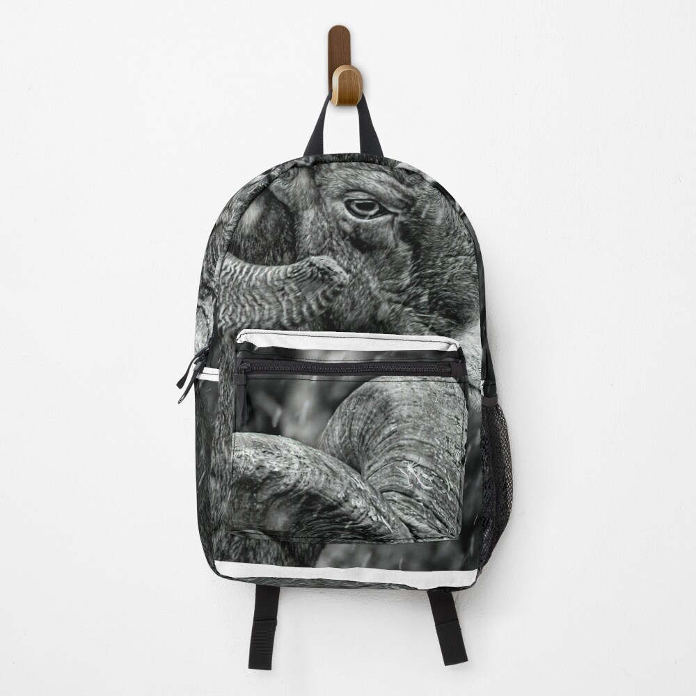 Item preview, Backpack designed and sold by JamesA1.