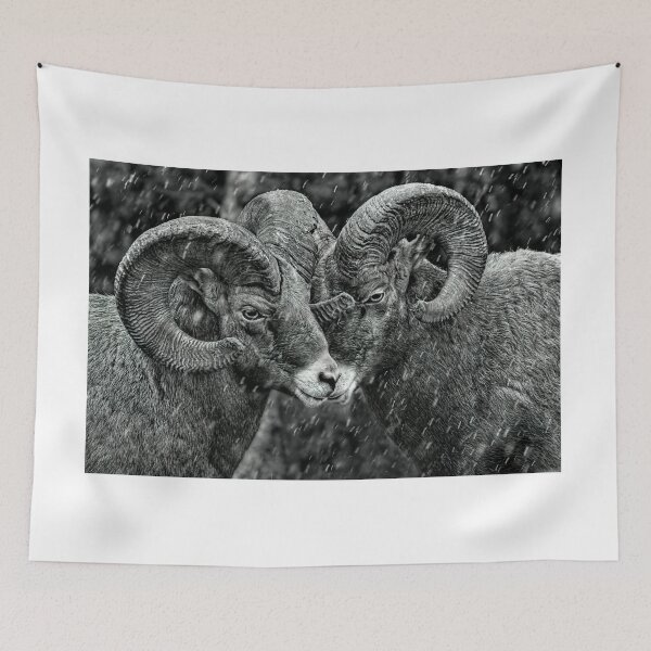 Item preview, Rebel Rams designed and sold by James (820Photography) Anderson.