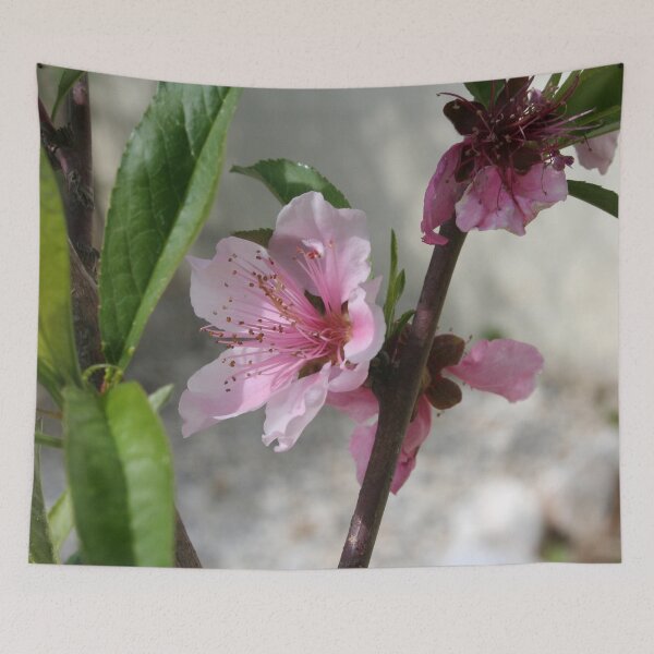 Item preview, Pink Peach Blossom designed and sold by taiche.