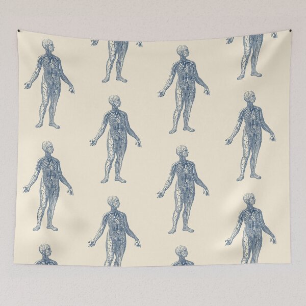 Item preview, Venous System Diagram - Vintage Anatomy designed and sold by VAposters.