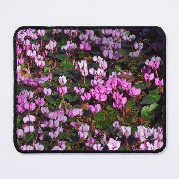 Item preview, Pink Cyclamen designed and sold by wiggyofipswich.