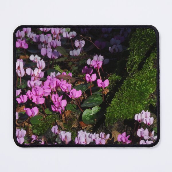 Item preview, Pink Cyclamen and Green Moss designed and sold by wiggyofipswich.