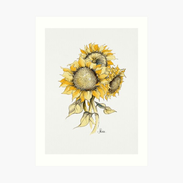 Yellow Sunflowers Art Print
