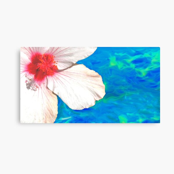 Item preview, pool hibis... designed and sold by Tereza Pilar  Art.