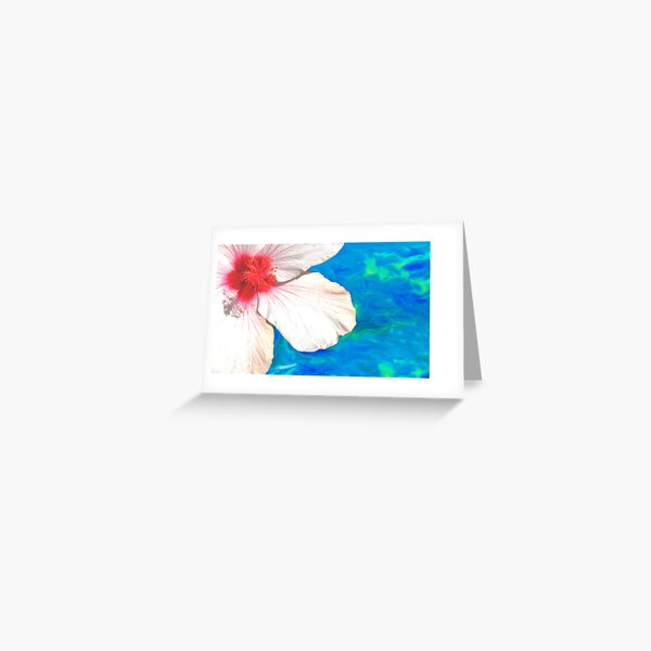 Item preview, pool hibis... designed and sold by Tereza Pilar  Art.