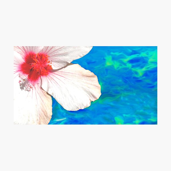 Item preview, pool hibis... designed and sold by Tereza Pilar  Art.