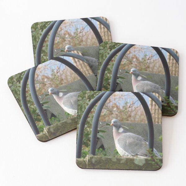 Item preview, Common Wood Pigeon designed and sold by wiggyofipswich.