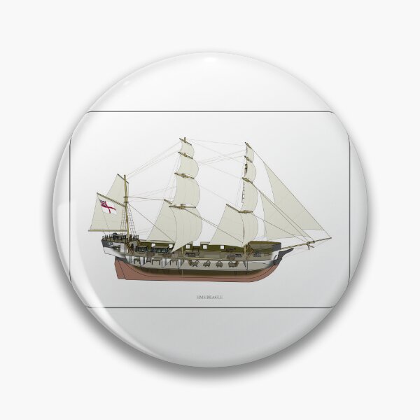 Item preview, HMS Beagle Cutaway designed and sold by Catwards.