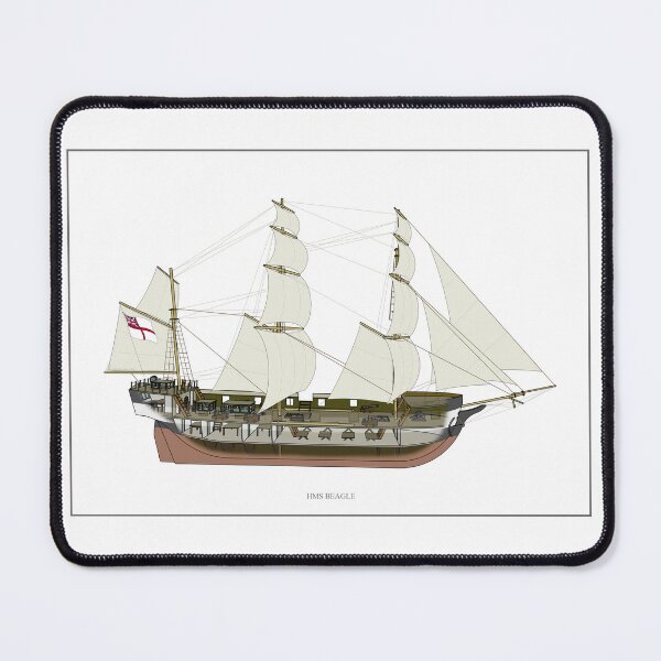 Item preview, HMS Beagle Cutaway designed and sold by Catwards.