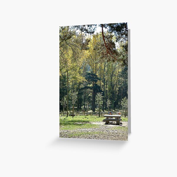 Item preview, Picnic area in the mountains, Madrid designed and sold by Luis J. de la Fuente.