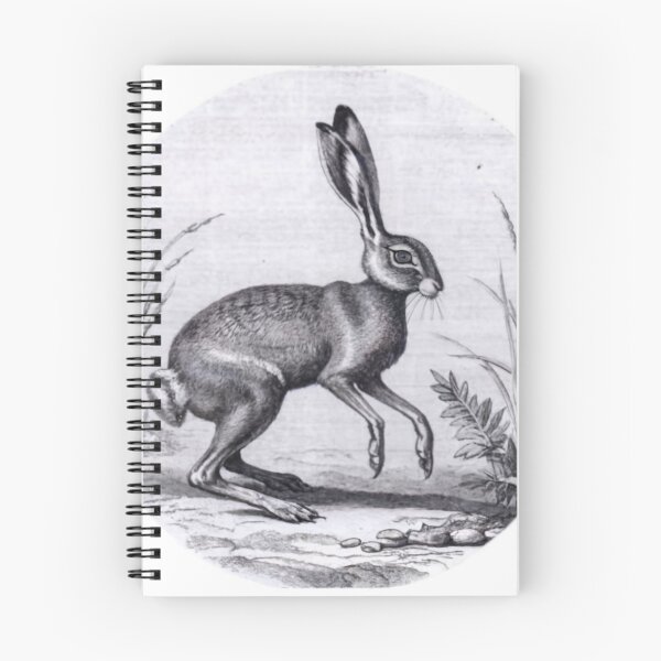 Item preview, Easter Haring designed and sold by BCD BRANDS.