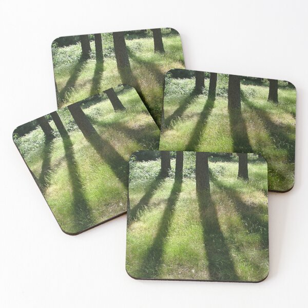 Item preview, Backlit trees in the forest, Cercedilla designed and sold by Luis J. de la Fuente.