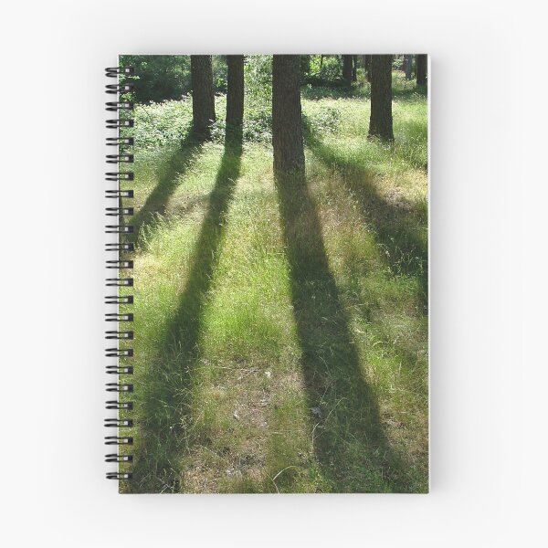 Item preview, Backlit trees in the forest, Cercedilla designed and sold by Luis J. de la Fuente.