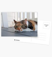 Lola Postcards