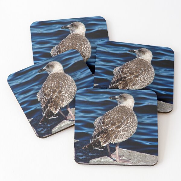 Item preview, Seagull in the port designed and sold by Luis J. de la Fuente.
