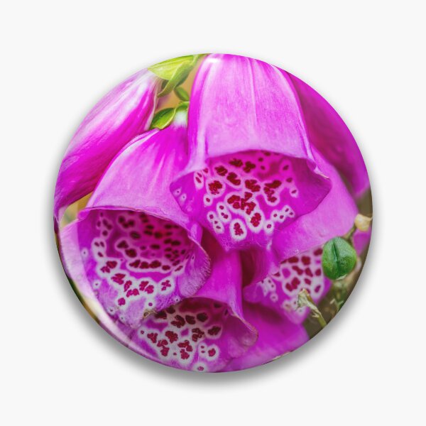 Item preview, Foxgloves designed and sold by AJEvans.