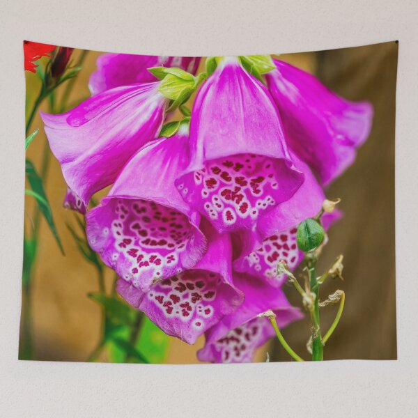 Item preview, Foxgloves designed and sold by AJEvans.