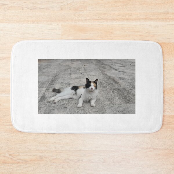 Item preview, Lying tricolour cat from Croatia designed and sold by bartekg3.