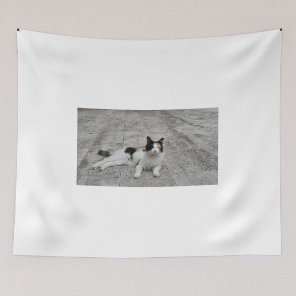 Item preview, Lying tricolour cat from Croatia designed and sold by bartekg3.