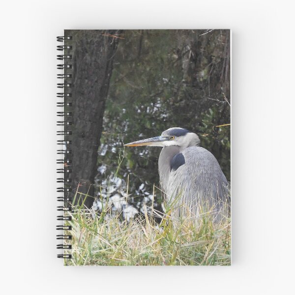 Item preview, Great Blue Heron Waiting designed and sold by MercerImages.