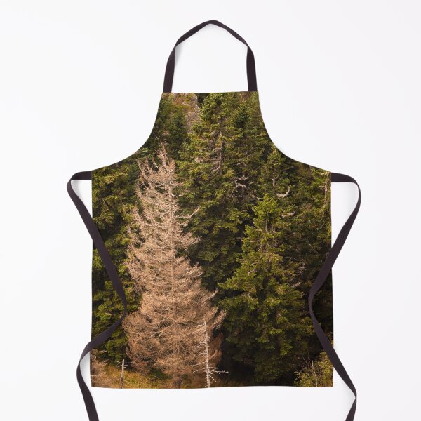 Item preview, Old spruce tree standing proud designed and sold by Patrik Lovrin.