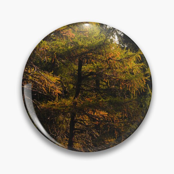 Item preview, Golden European larch in autumn colors designed and sold by Patrik Lovrin.
