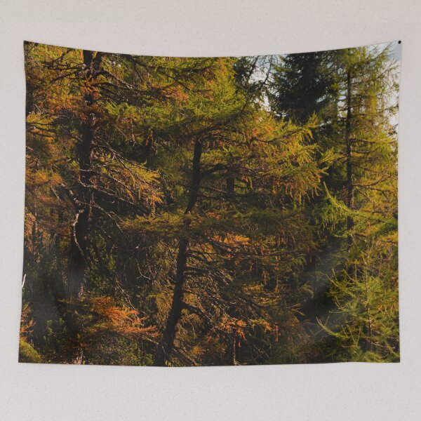 Item preview, Golden European larch in autumn colors designed and sold by Patrik Lovrin.