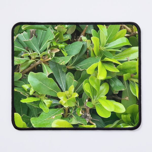 Item preview, Green leaves designed and sold by bartekg3.