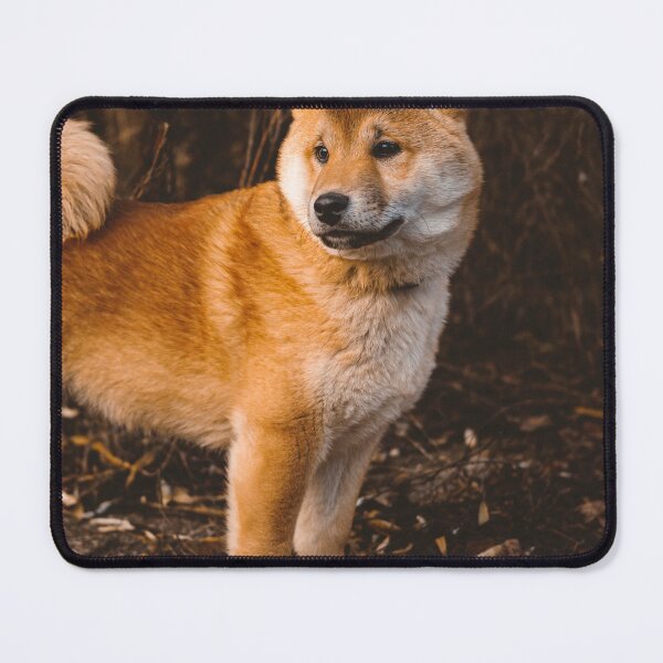 Item preview, Mature Shiba Inu Dog designed and sold by VanGaldo.