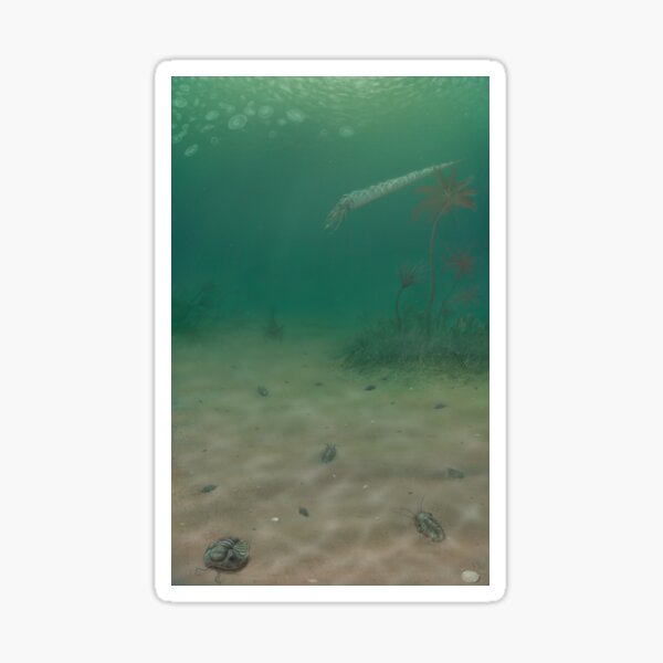 Item preview, Ordovician: Othoceras in shallows by Siegluck designed and sold by Siegluck.