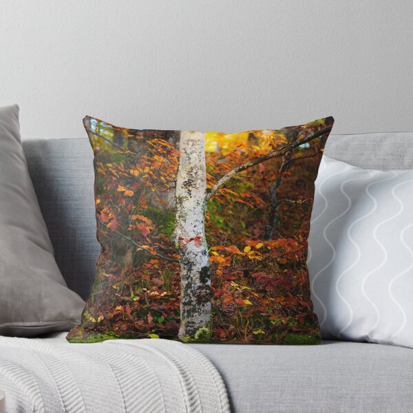 Aperçu de l'œuvre Bouleau d'automne dans la forêt moussue créée et vendue par Patrik Lovrin.