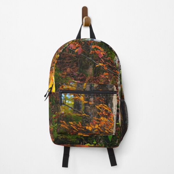 Item preview, Autumn birch in mossy forest designed and sold by Patrik Lovrin.