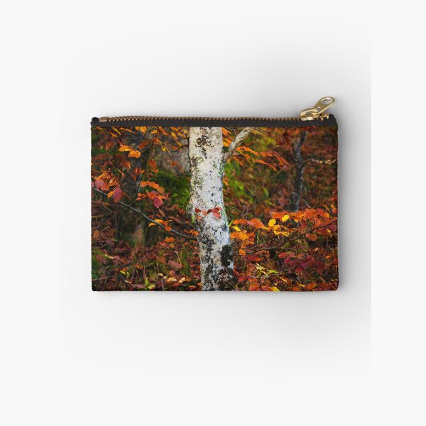 Item preview, Autumn birch in mossy forest designed and sold by Patrik Lovrin.