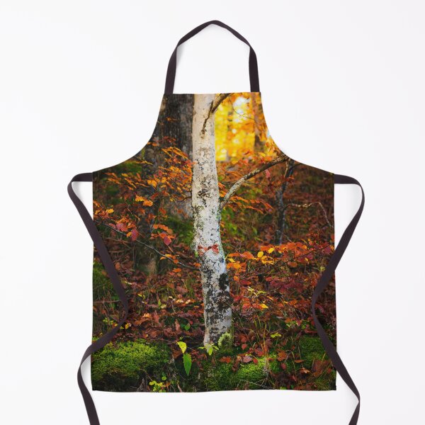 Item preview, Autumn birch in mossy forest designed and sold by Patrik Lovrin.