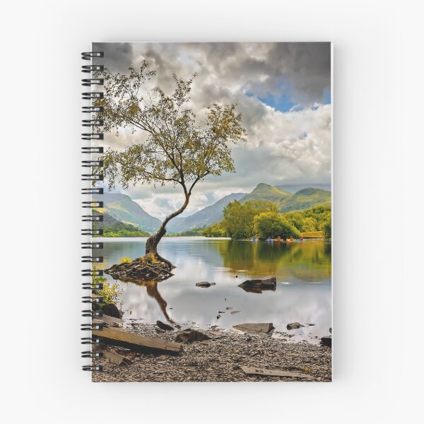 Item preview, Padarn lake Tree  designed and sold by AJEvans.