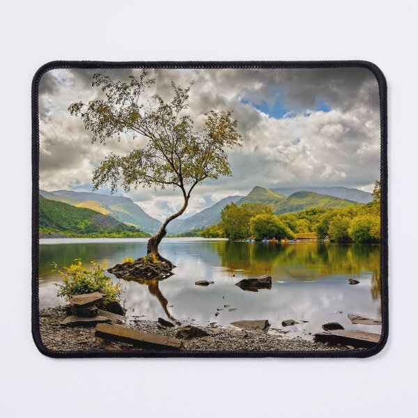 Item preview, Padarn lake Tree  designed and sold by AJEvans.